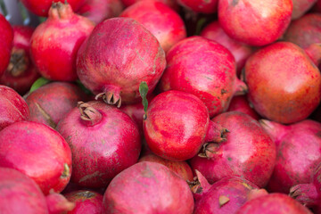 Fall pomegranate harvest