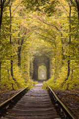 Fototapeta na wymiar small railway through autumn forest, Ukraine, tunnel of lovers