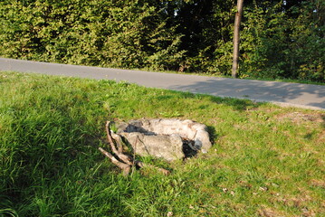 Grillplatz aus stein auf wiese