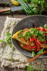 Egg fry with vegetables