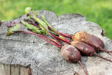 beets with leaves on wooden background