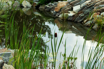 Beautifully decorated with stones and plants artificial body of water with a reflection of the sky on the water.