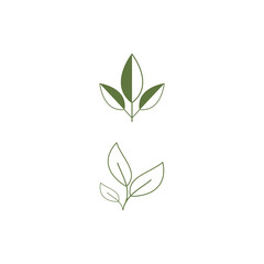 Obraz premium Leaf line icons vector leaves logo design