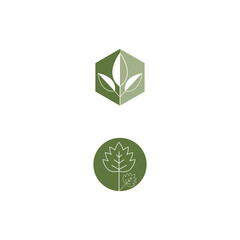 Leaf line icons vector leaves logo design