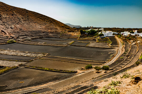 Huertas Bilder Durchsuchen 1,774 Archivfotos, und