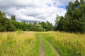 Summer landscape with footpath, green grass and trees, blue sky with white clouds.