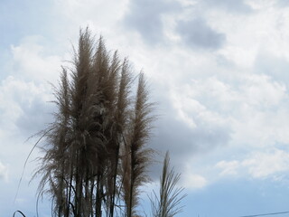 自然にある風景