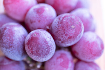 美味しそうなブドウ（巨峰）