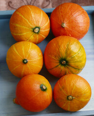 small pumpkin still life halloween closeup photo