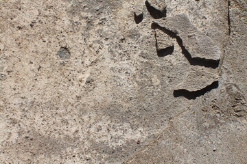 sidewalk in the yard