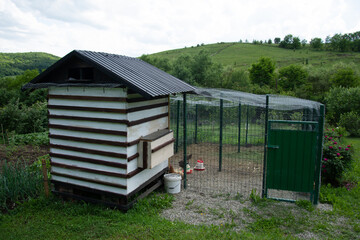 Fototapeta na wymiar red peonies and chicken cage in Bretea, Romania
