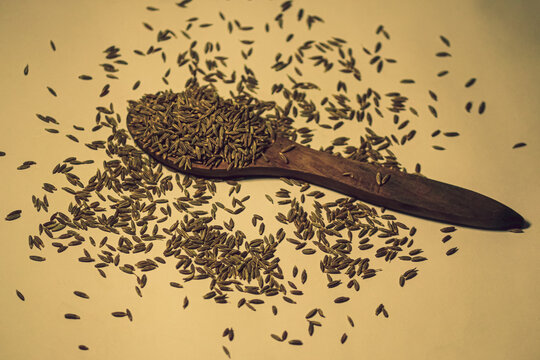 spoon of cumin (Indian Spice)