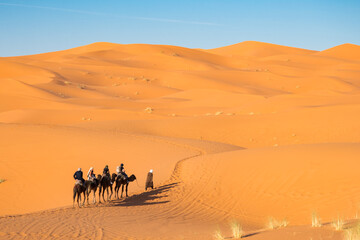 Fototapeta na wymiar Erg Chebbi in Sahara