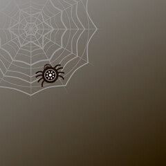 Vector blank of a spider's web on a dark background; black spider on a gray web, an image on the theme of Helloween, a card with a web for the holiday, a template for creativity, print.