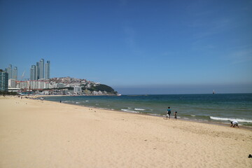 Korea, Busan, pork belly, bacon, Haeundae