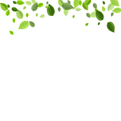 Grassy Greens Spring Vector Concept. Abstract 