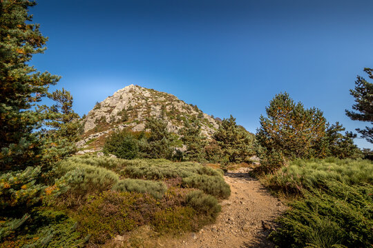 Mount Gerbier de Jonc, close to the sources of the Loire River