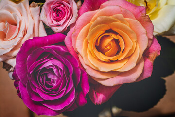 Retro-style floral background of multi colored roses