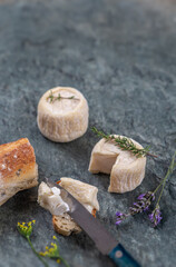 Fototapeta na wymiar Goat cheese crottin de chavignol. Speciality, tasting wich knife and bread