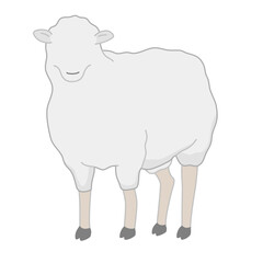 Animal character sheep standing white isolated background with flat color style