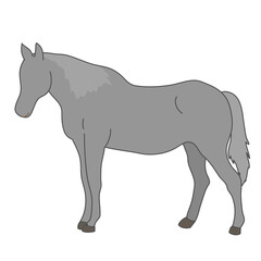 Animal character grey horse standing side view white isolated background with flat color style