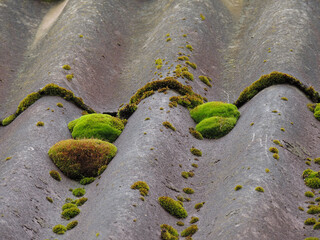 old slate roof with green moss.