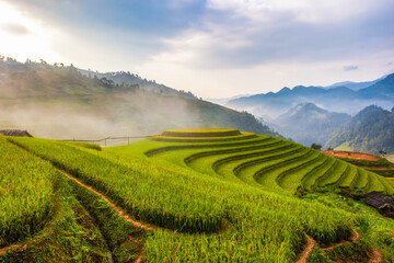 Fototapeta na wymiar Terraced rice paddy field landscape of Mu Cang Chai, Yenbai, Northern Vietnam