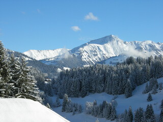 Snow covered trees in Rougemont, Switzerland