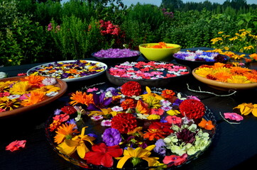 Multi colored garden flowers floating on the water surface in a round container. In the background a garden with flowers. flowers float in a container with water. Flower mandala