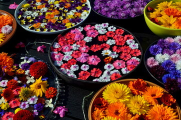 Multi colored garden flowers floating on the water surface in a round container. In the background a garden with flowers. flowers float in a container with water. Flower mandala