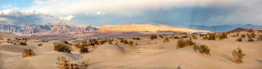 Mesquite flats in the death valley desert in sunset light - obrazy, fototapety, plakaty