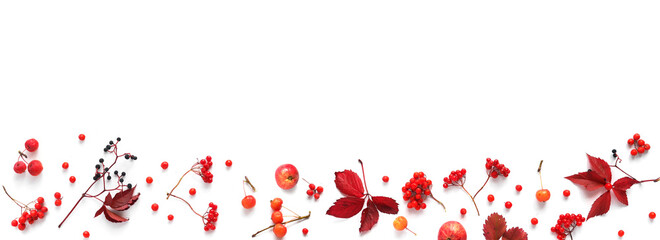 Autumn background, frame, banner.Creative flat layout of red autumn leaves, wild apples, twigs, rowan berries and viburnum, top view.