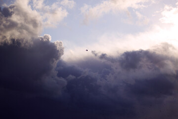 dark and fluffy cloud is catching for black bird