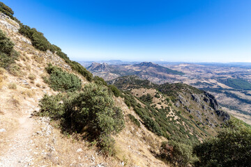 Fototapeta na wymiar Mediterranean landscape at the Cerro Coros in the natural park Sierra de Grazalema, Andalusia, Spain.