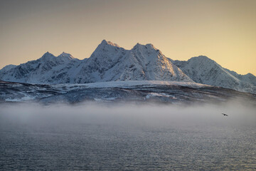 Fototapeta na wymiar Mountains in arctic Norway - the Lyngen Alps