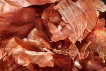 Closeup of onion skins in a plastic bag