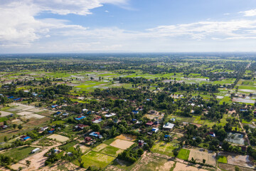 Rice field green grass blue sky cloud cloudy landscape background