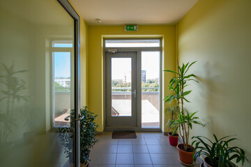 Modern interior of entrance in living complex. Glass door to balcony. Green flowers and plants in pots.
