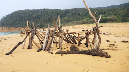 Driftwood Sculpture on Maitland Bay Beach New South Wales Australia