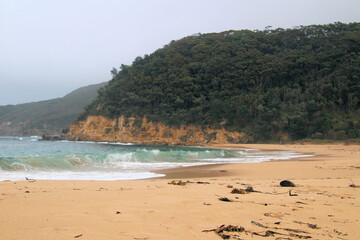 Maitland Bay Beach in the Bouddi National Park New South Wales Australia