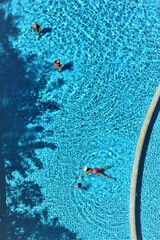 fish in the pool