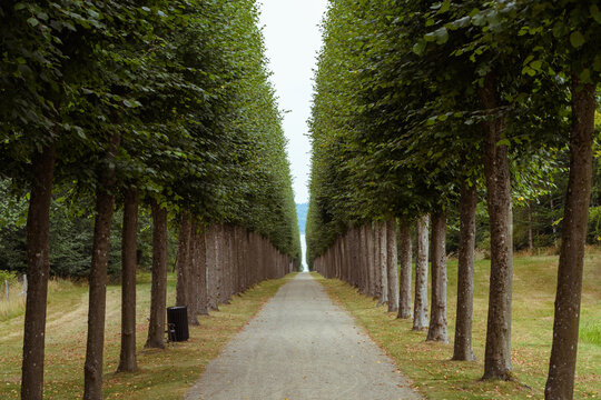 Schlo&szlig; Fredensborg, Barockgarten, Allee