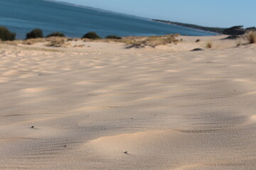 sand dunes on the beach