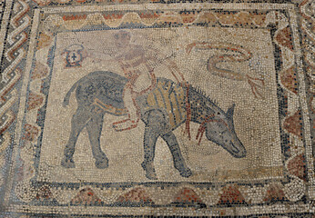 Mosaic in ruins of ancient Roman Volubilis, Morocco