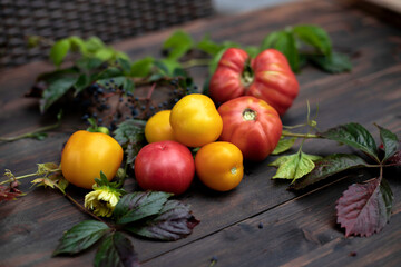 fresh organic tomatoes on wooden table