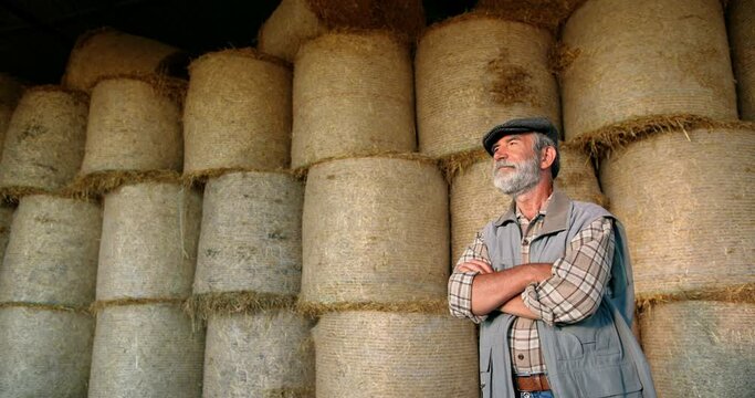 Portrait of Caucasian old gray-haired male farmer in cap with beard standing at hay stocks in farm and looking at camera. Zooming in. Dolly shot. Grandfather at village. Countryside concept Senior man