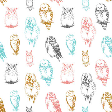 Owls seamless pattern. Vector background.