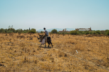 Chico subido en un burro andando por un campo, Marruecos