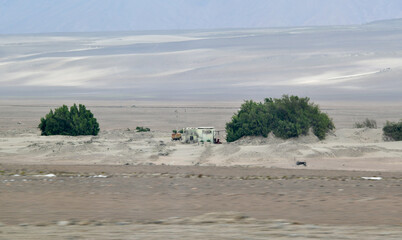 Yauca river valley and fertile oases with olive groves 7