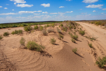 sand in the desert with green grass on a background of sky and clouds
